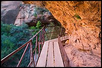 Boardwalk bridge, Canyon Overlook Trail. Zion National Park ( color)