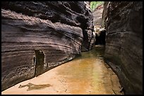 Narrow passageway, Upper Left Fork. Zion National Park ( color)