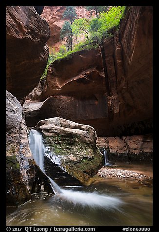 Double waterfall, Upper Subway. Zion National Park (color)