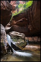 Double waterfall, Upper Subway. Zion National Park ( color)