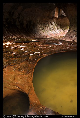 Pool and tunnel-like opening, the Subway. Zion National Park, Utah, USA.