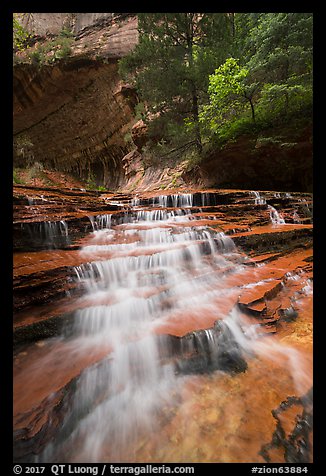 Cascades gushing over colorful terraces. Zion National Park (color)