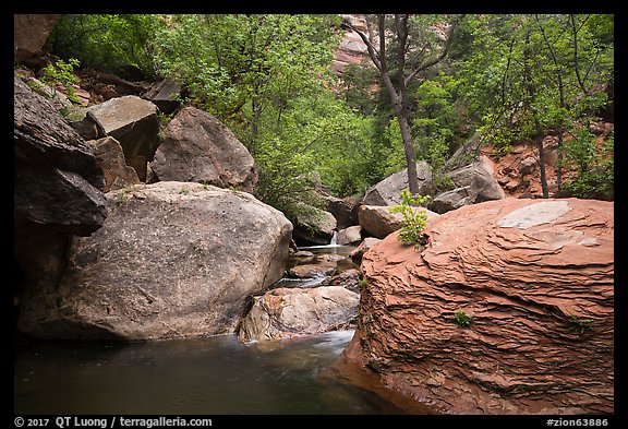 Left Fork flowing amongst boulders. Zion National Park (color)