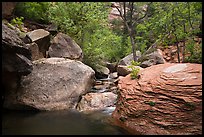Left Fork flowing amongst boulders. Zion National Park ( color)
