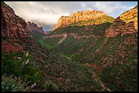 South Guardian Angel towering above Lower Left Fork. Zion National Park ( color)