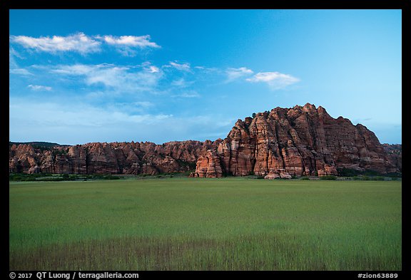 Pinnacles rising above plateau with high grasses, Kolob Terraces. Zion National Park (color)