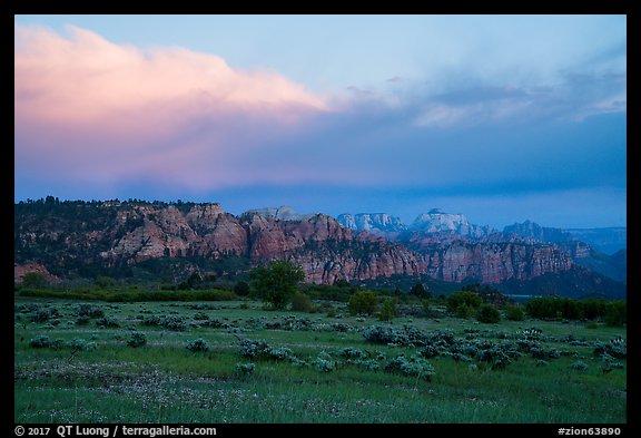 View from Kolob Terraces towards canyons at sunset. Zion National Park, Utah, USA.