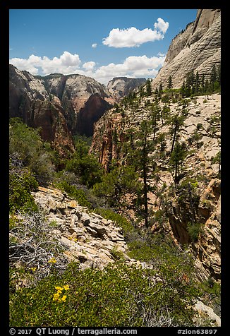 Zion Canyon seen via Refrigerator Canyon. Zion National Park (color)