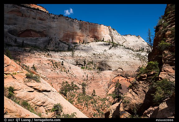 Walls of Mount Majestic from Behunin Canyon. Zion National Park (color)