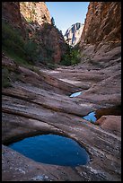 Water-filled potholes, Behunin Canyon. Zion National Park ( color)