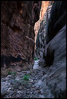 Narrows, Behunin Canyon. Zion National Park ( color)