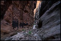 Narrow passage between tall walls, Behunin Canyon. Zion National Park ( color)