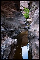 Reflections in narrows, Behunin Canyon. Zion National Park ( color)