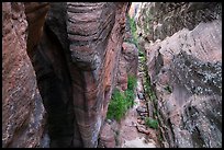 Narrows from above, Behunin Canyon. Zion National Park ( color)