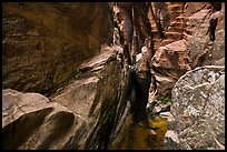 Room with pothole,  Behunin Canyon. Zion National Park ( color)