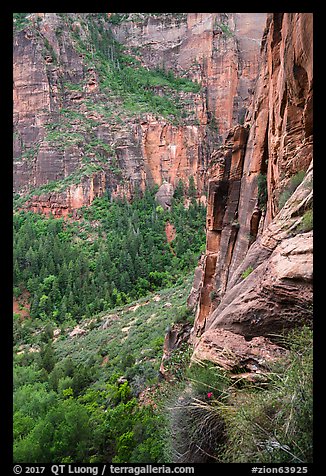 Cliff above Emerald Pools. Zion National Park, Utah, USA.