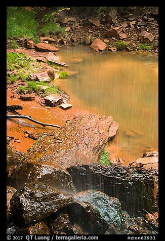 Water from Middle Emerald Pool drips into Lower Emerald Pool. Zion National Park (color)