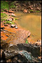 Water from Middle Emerald Pool drips into Lower Emerald Pool. Zion National Park ( color)