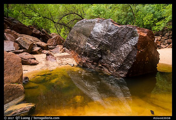 Dark boulder and reflection in Upper Emerald Pool. Zion National Park (color)