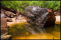 Dark boulder and reflection in Upper Emerald Pool. Zion National Park ( color)