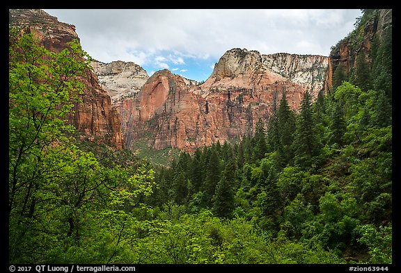 Upper Emerald Pool greenery frames Zion Canyon. Zion National Park (color)