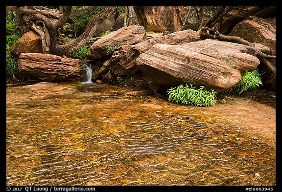 Stream flows over travertine, Middle Emerald Pool. Zion National Park (color)