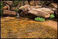 Stream flows over travertine, Middle Emerald Pool. Zion National Park ( color)
