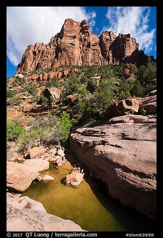 Tower above pool in Pine Creek Canyon. Zion National Park, Utah, USA.