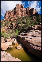 Tower above pool in Pine Creek Canyon. Zion National Park ( color)