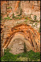 Large alcove. Zion National Park ( color)