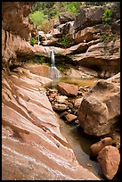 Pine Creek Canyon and Pine Creek waterfall. Zion National Park ( color)