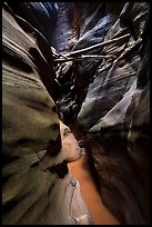 Logs jammed high in Pine Creek Canyon narrows. Zion National Park ( color)
