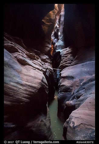 Subterranean Pine Creek Canyon narrows. Zion National Park (color)