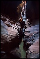 Subterranean Pine Creek Canyon narrows. Zion National Park ( color)