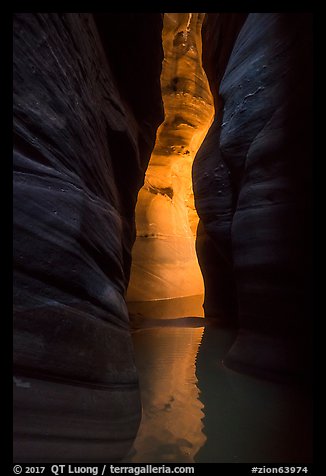 Glow in dark narrows, Pine Creek Canyon. Zion National Park (color)