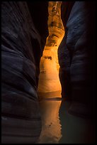 Glow in dark narrows, Pine Creek Canyon. Zion National Park ( color)
