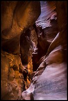 Colorful slot canyon walls, Pine Creek Canyon. Zion National Park ( color)