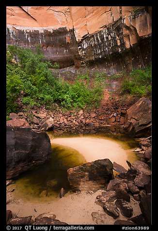 Upper Emerald Pool and cliffs. Zion National Park (color)