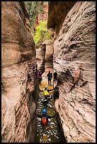 Canyoneers wade through narrows, Upper Left Fork. Zion National Park, Utah ( color)