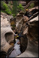 Canyonneer rappels into the Subway. Zion National Park, Utah ( color)