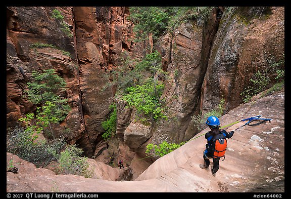 Canyonneers rapples into the bottom of Behunin Canyon. Zion National Park, Utah (color)