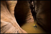 Canyonneer swimming in Pine Creek Canyon. Zion National Park, Utah ( color)