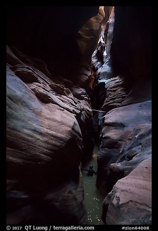 Canyonneer wades in subterranean section of Pine Creek Canyon. Zion National Park, Utah (color)