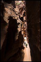 Canyonneers walk in narrows of Pine Creek Canyon. Zion National Park, Utah ( color)