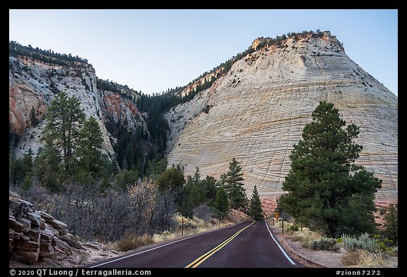 Road and Checkerboard Mesa. Zion National Park, Utah, USA.