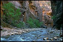 Virgin River flowing over stones in the Narrows. Zion National Park, Utah, USA. (color)