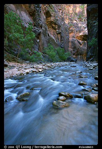 Virgin River and steep canyon walls in the Narrows. Zion National Park, Utah, USA.
