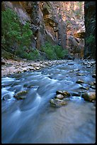Virgin River and steep canyon walls in the Narrows. Zion National Park ( color)