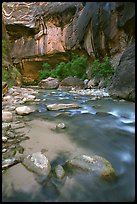 Rock alcove and Virgin River, the Narrows. Zion National Park, Utah, USA.