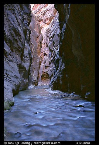 Virgin River flowing between  rock walls of Wall Street, the Narrows. Zion National Park, Utah, USA.